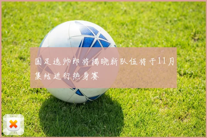 国足选帅即将揭晓新队伍将于11月集结进行热身赛