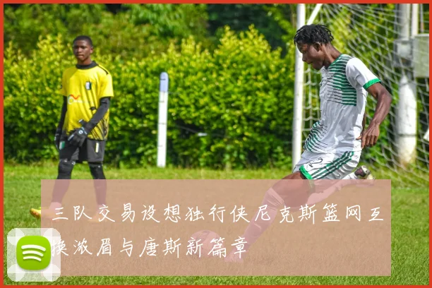 三队交易设想独行侠尼克斯篮网互换浓眉与唐斯新篇章