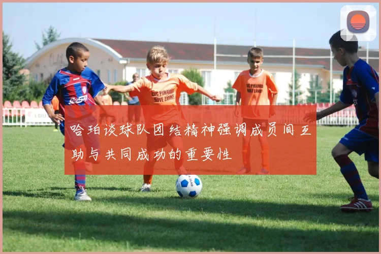 哈珀谈球队团结精神强调成员间互助与共同成功的重要性