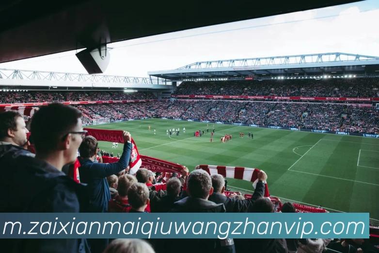 在线买球网站APP 高清赛事图